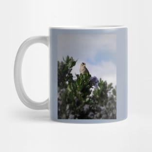 White crowned sparrow in a blue blossom Ceanothus Thyrsiflorus bush 4 Mug